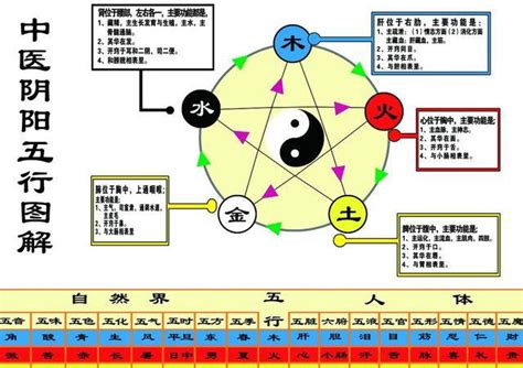 科技五行属什么|科技公司五行属什么